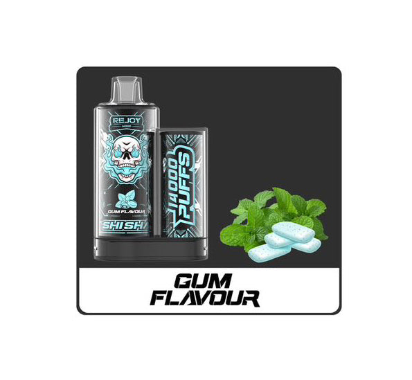 REJOY Shisha 14000 Puffs
