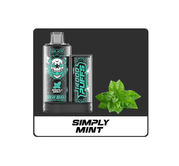 REJOY Shisha 14000 Puffs